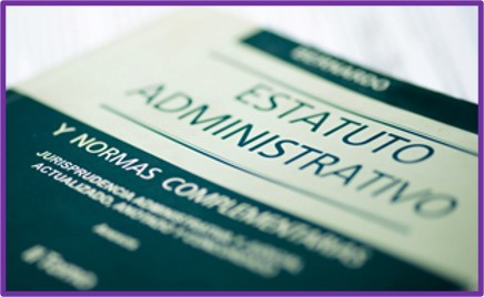 15 - Estatuto Administrativo (07/09/2026 - 25/09/2026)