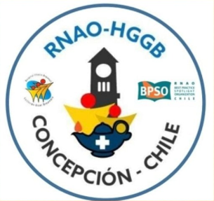 7 - Entrenamiento Virtual Champions Clinicos: Programa de Buenas Prácticas RNAO del HGGB de Concepción (04/08/2025 - 29/08/2025)