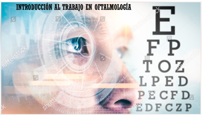 30 - Introducción al trabajo en oftalmología (04/08/2025 - 29/08/2025)
